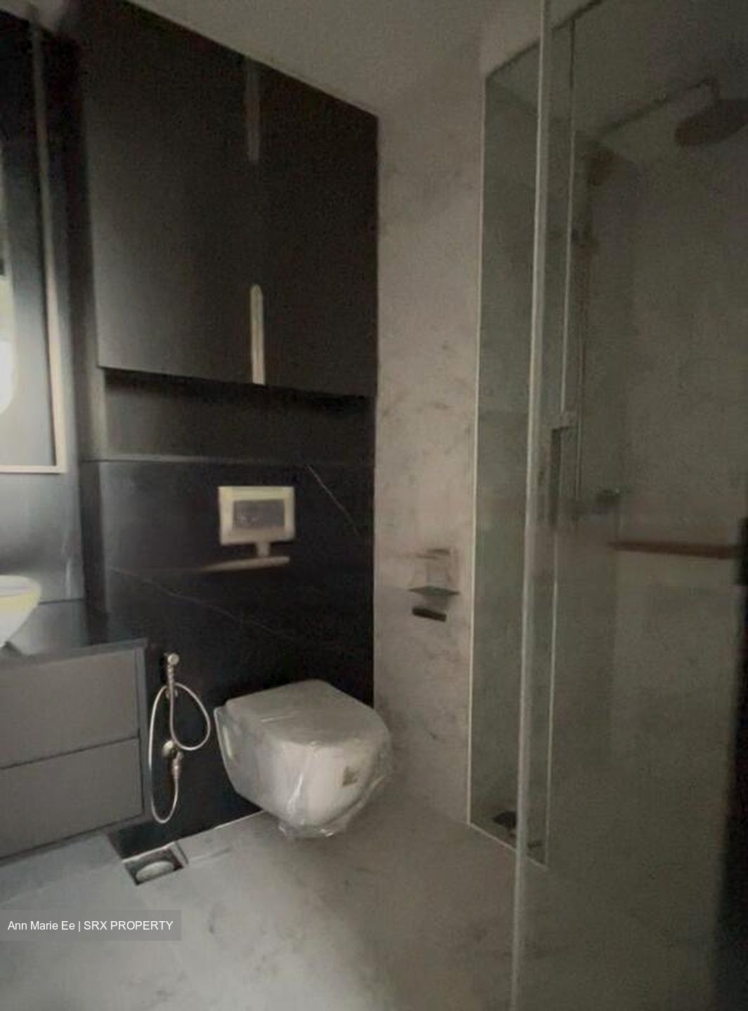 One Bernam (D2), Apartment #487830861